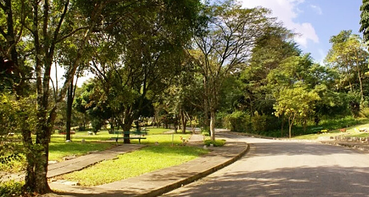 Cemitério da Paz