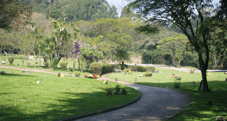 Paisagem do cemitério do morumbi