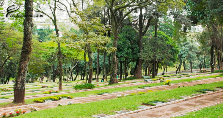 Paisagem com árvores no Cemitério Gethsêmani