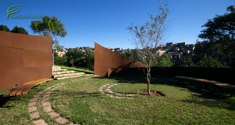 Árvore plantada em memorial no Cemitério Cerejeiras