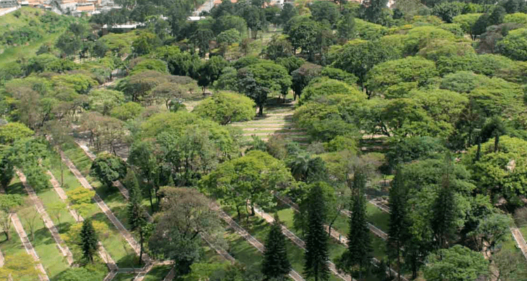 Ruas e paisagens vistas de cima no Cemitério Gethsêmani