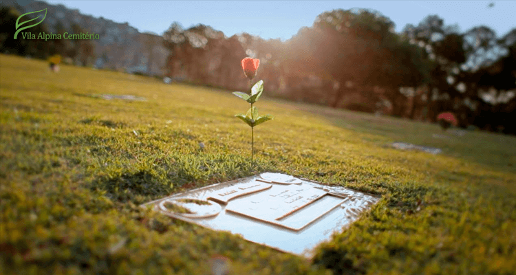 Imagem com uma rosa em cima de uma lápide - Cemitério Parque dos Pinheiros