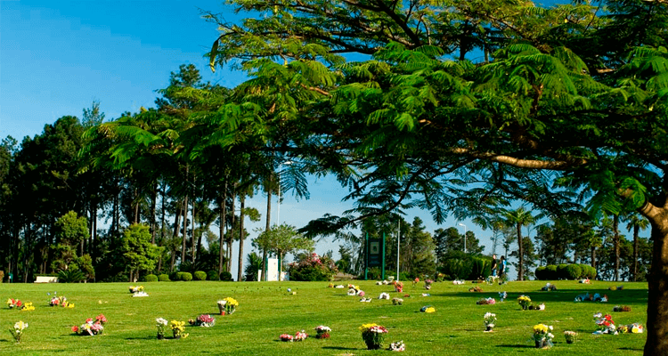 Imagem com campo de lápides e arranjos de flores, cercado por árvores - Cemitério Parque dos Pinheiros